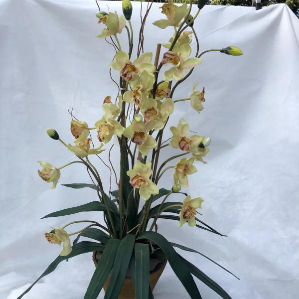 Photo of Artificial Orchid Plant