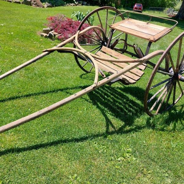 Photo of Equine Jog-Cart for Yard /Garden Decor