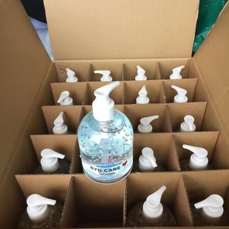 Photo of Hand Sanitizer - Case of 20 Medium-Size Pump Bottles