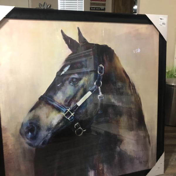 Photo of Beautiful 39’X39  Horse picture