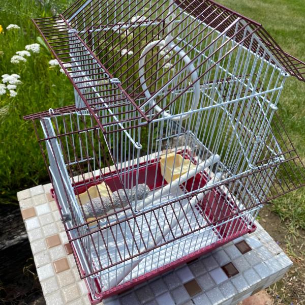 Photo of Parakeet cage