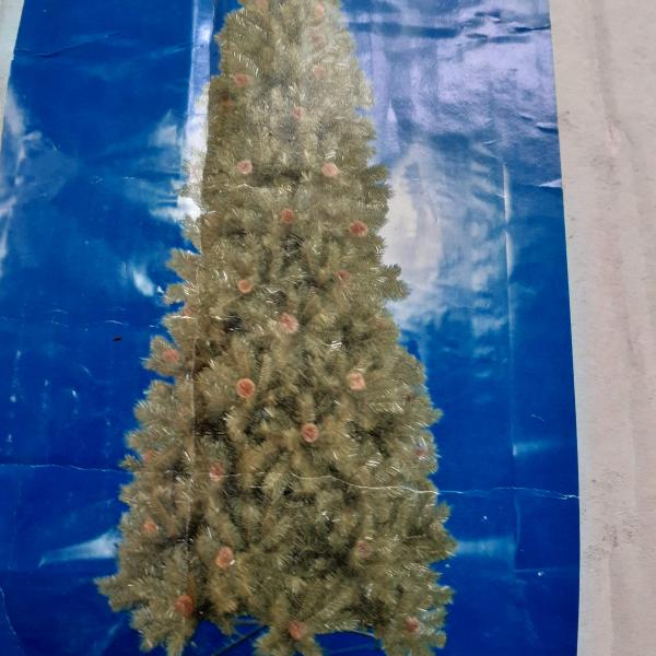 Photo of CHRISTMAS TREE