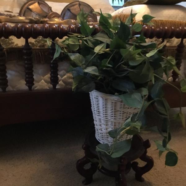 Photo of Silk Real Looking Plant in White Basket
