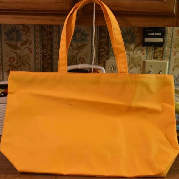 Photo of Estee Lauder large bag