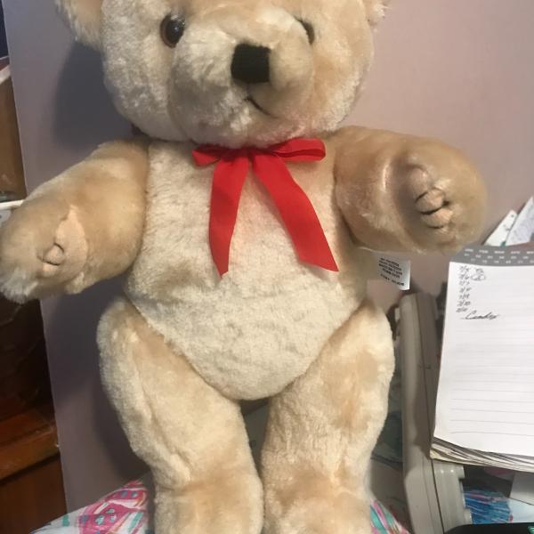 Photo of New poseable bear 