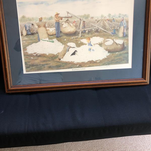 Photo of “Southern Cotton” framed print