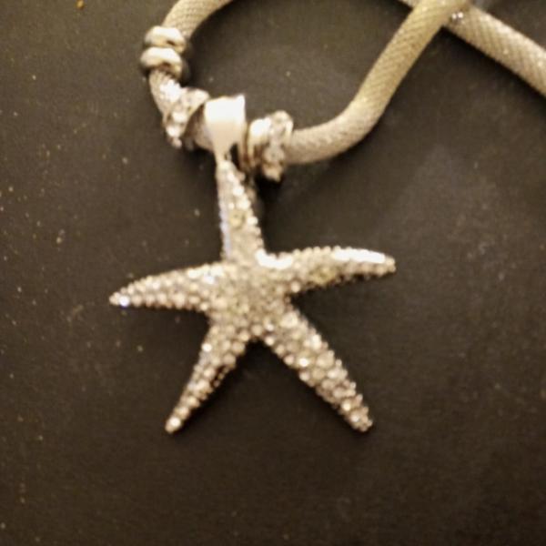 Photo of Fabulous silver starfish necklace