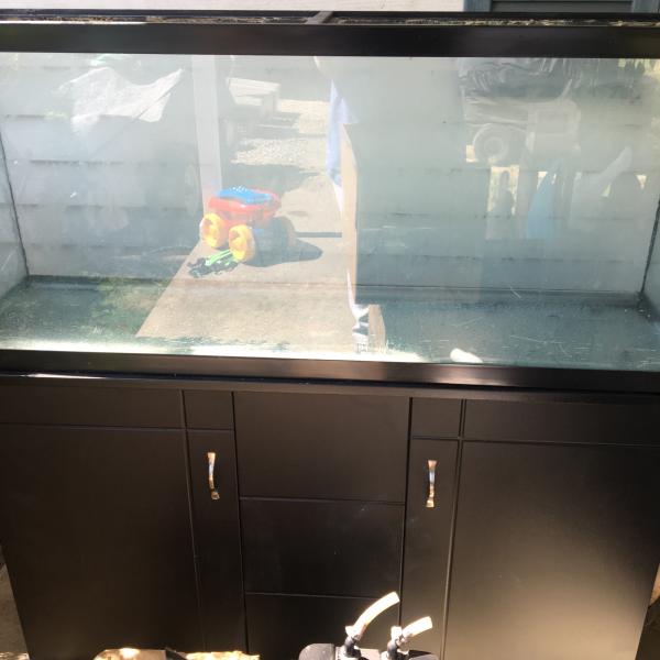 Photo of 55 gallon aquarium on stand
