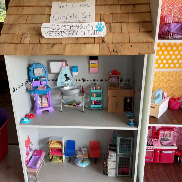 Photo of Huge doll house and vet clinic