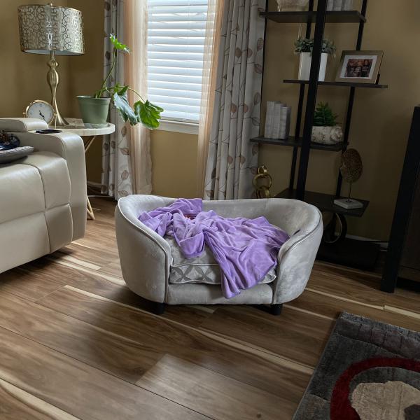 Photo of Dog bed