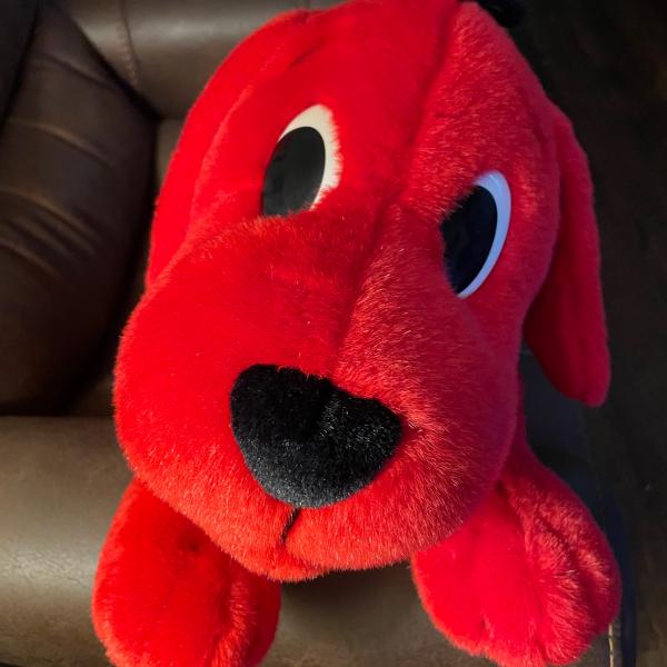 Photo of Clifford and he barks!