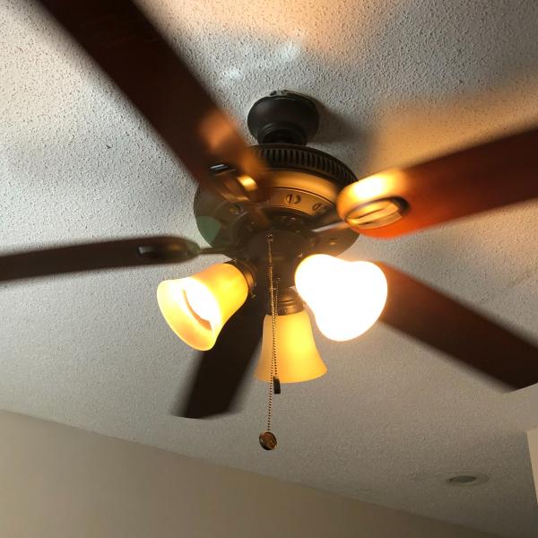 Photo of Ceiling fan and light