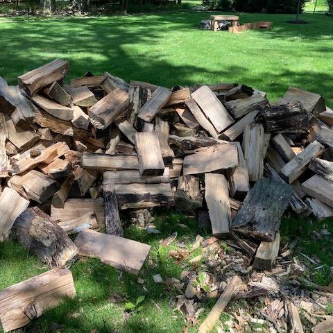 Photo of Aged Oak Firewood