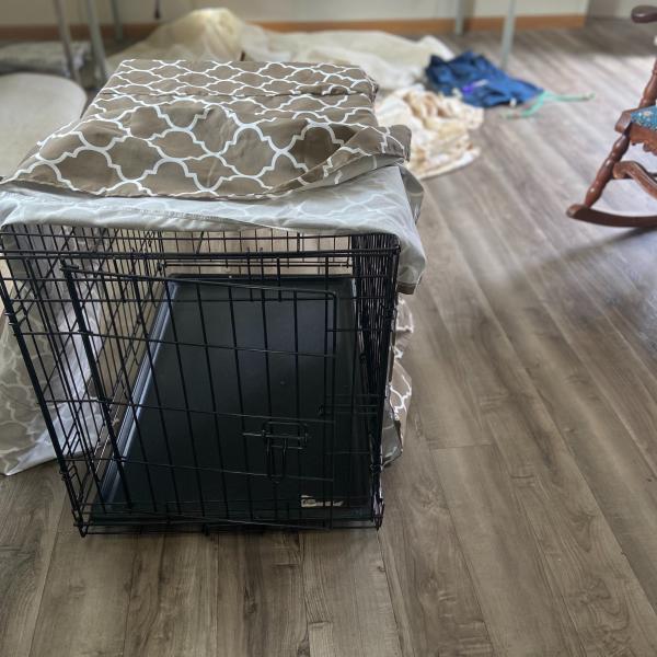 Photo of Dog crate 