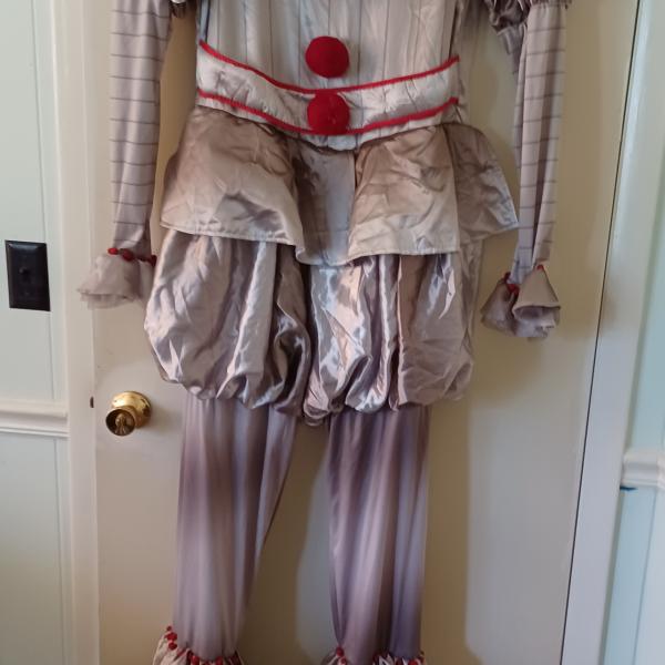 Photo of Pennywise Costume
