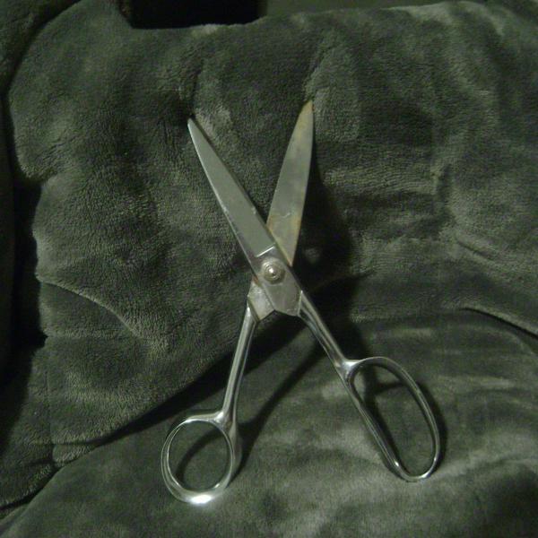 Photo of Tandy leather craft shears