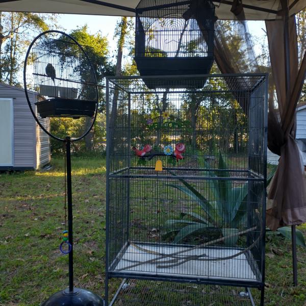 Photo of Bird cages and parakeet bird included