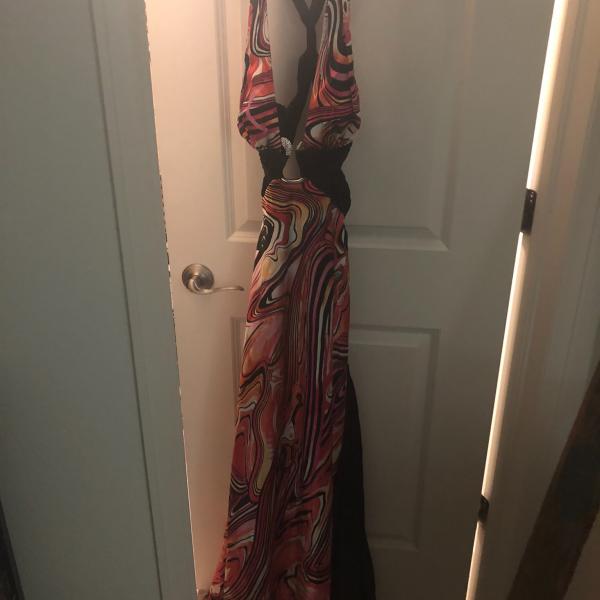 Photo of Dress with snake clip