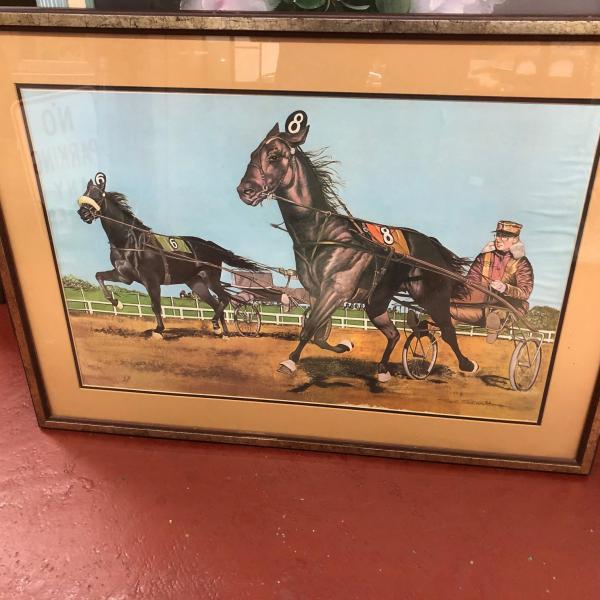 Photo of Beautiful Trotter Racehorse Print Vintage