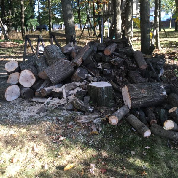 Photo of Free  Firewood 