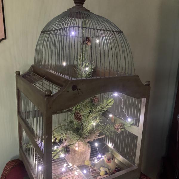 Photo of Vintage large bird Cage decor ! 