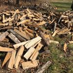 Split oak fire wood