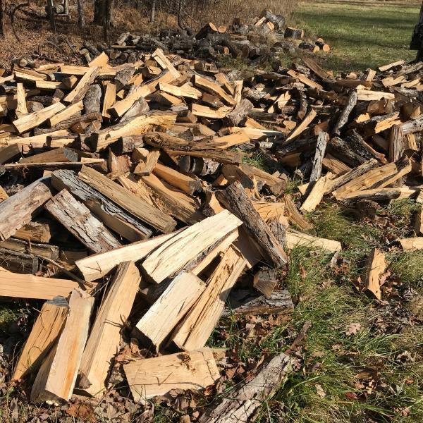 Photo of Split oak fire wood