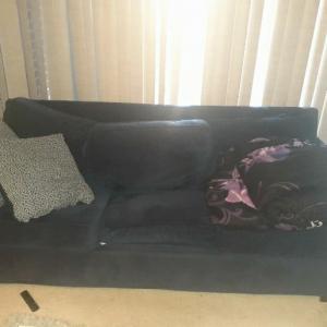 Photo of Sofa Bed