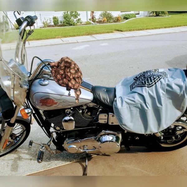 Photo of 2000 Harley Davidson Dyna Wide Glide