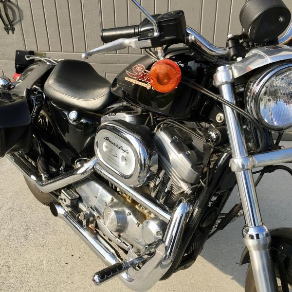 Photo of 2001 Harley Davidson XL883