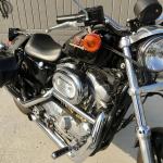 2001 Harley Davidson XL883