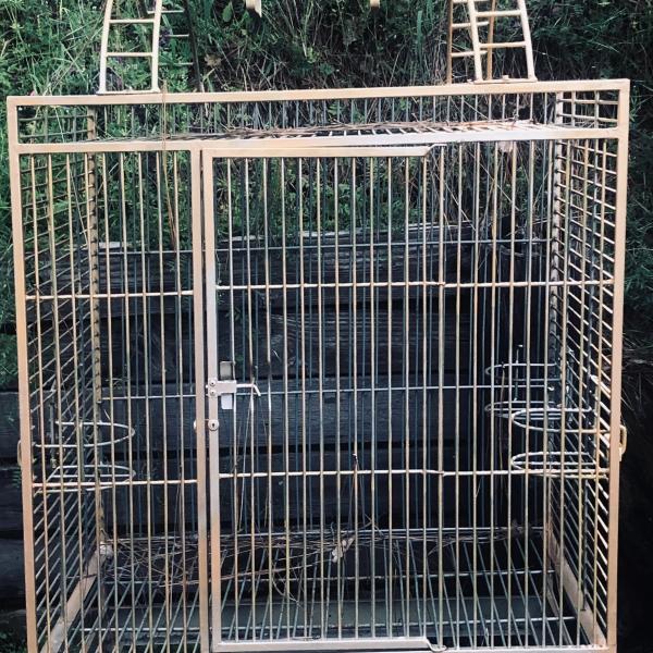 Photo of Large standing cage with playtop on wheels 