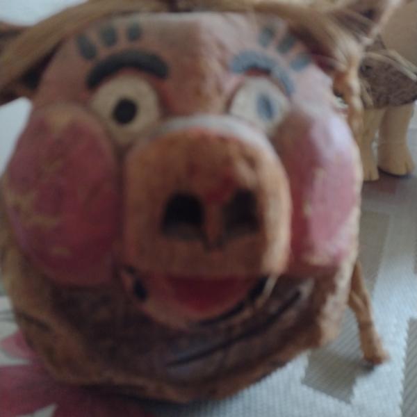 Photo of Coconut pig