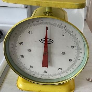 Photo of Chatillon Vintage Kitchen Scale