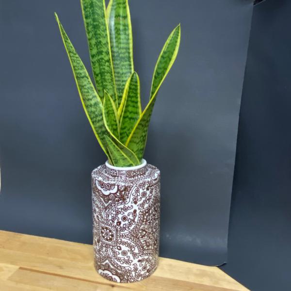 Photo of Natural Snake Plant in a pottery barn vase. 