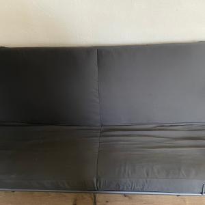 Photo of Full Pullout Couch