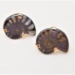 Lot #20  Pair of Ammonite Fossil Earrings, set in 14kt gold.
