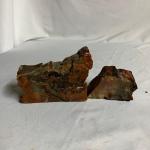 Petrified Wood, Stone, Coral & Sea Shells (WS-MG)