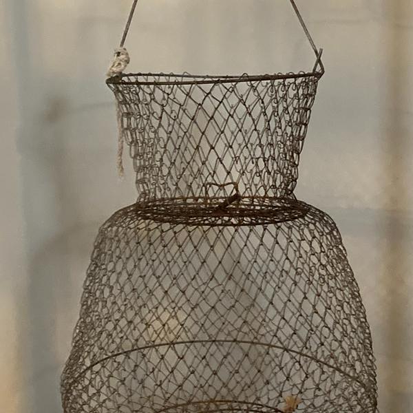 Photo of Collapsible wire fish basket
