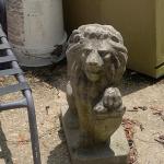 Yard Lion