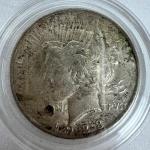 685  1923 Silver Peace Dollar
