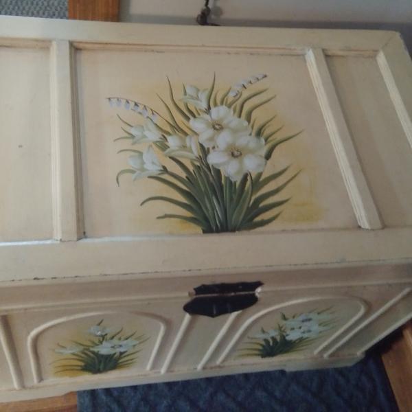 Photo of Shabby Chic lined Trunk