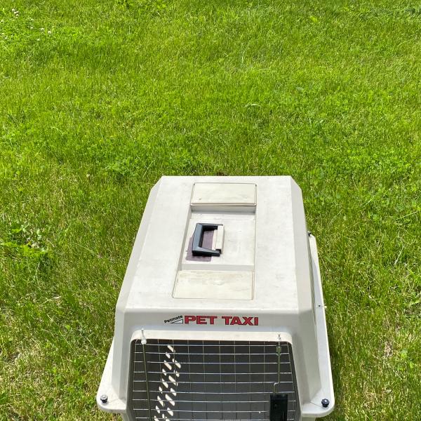 Photo of Medium Pet Taxi Brand Carrier Good Condition
