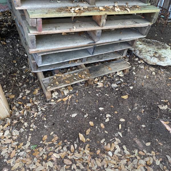 Photo of Free wooden pallets