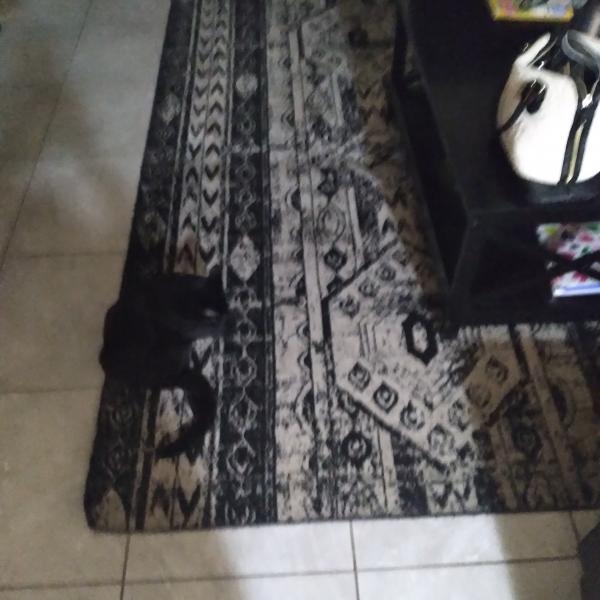 Photo of floor rug set of 4
