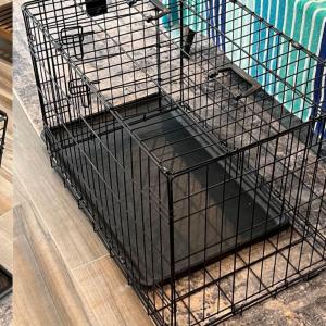 Photo of Dog Crate
