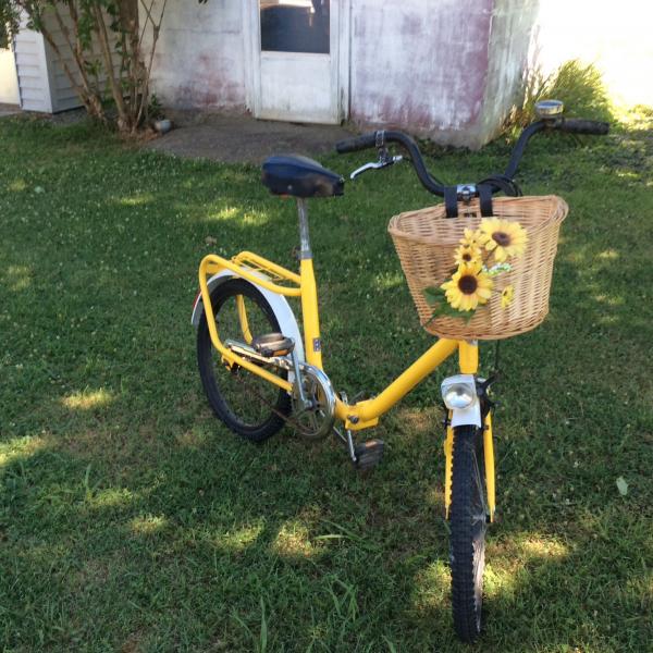 Photo of Yellow bike