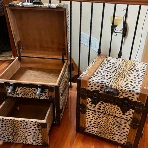 Photo of (2) Wind River Trunks with Cheeta Print on Pig Skin 