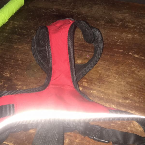 Photo of Harness for a puppy 
