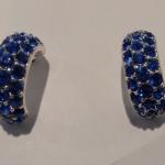 Blue Stone Earrings  (NEW)